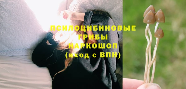 скорость Богородск