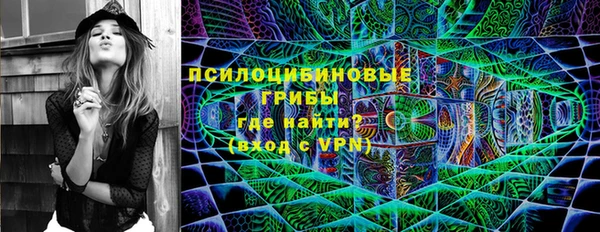 СК Бородино